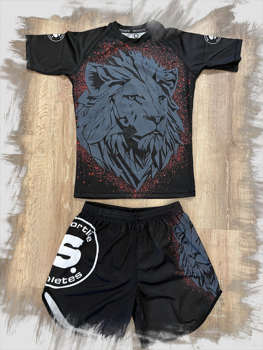 Conjunto artes marciales León